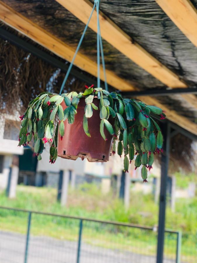 Lovely Villa ウレキ エクステリア 写真